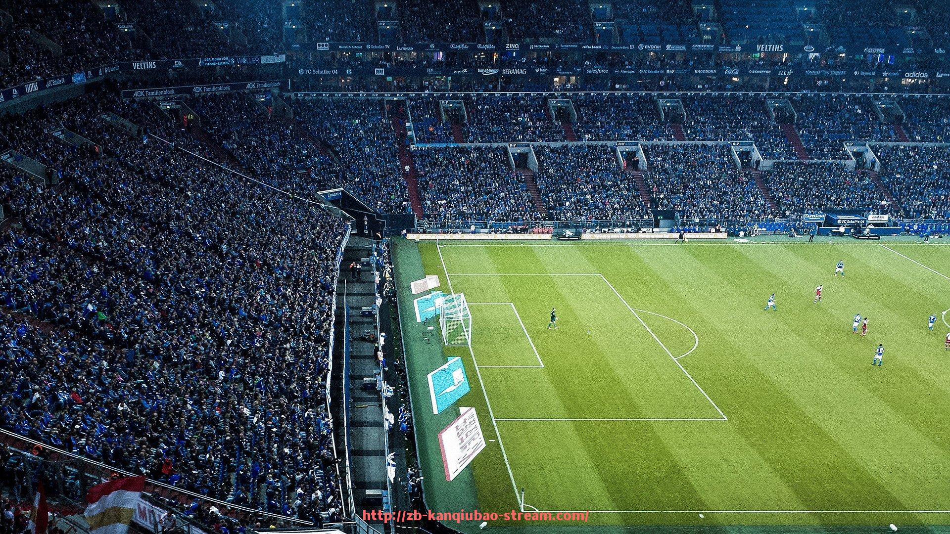 看球宝-真正意义上的德甲足球队标准是什么？官方认证与资格说明