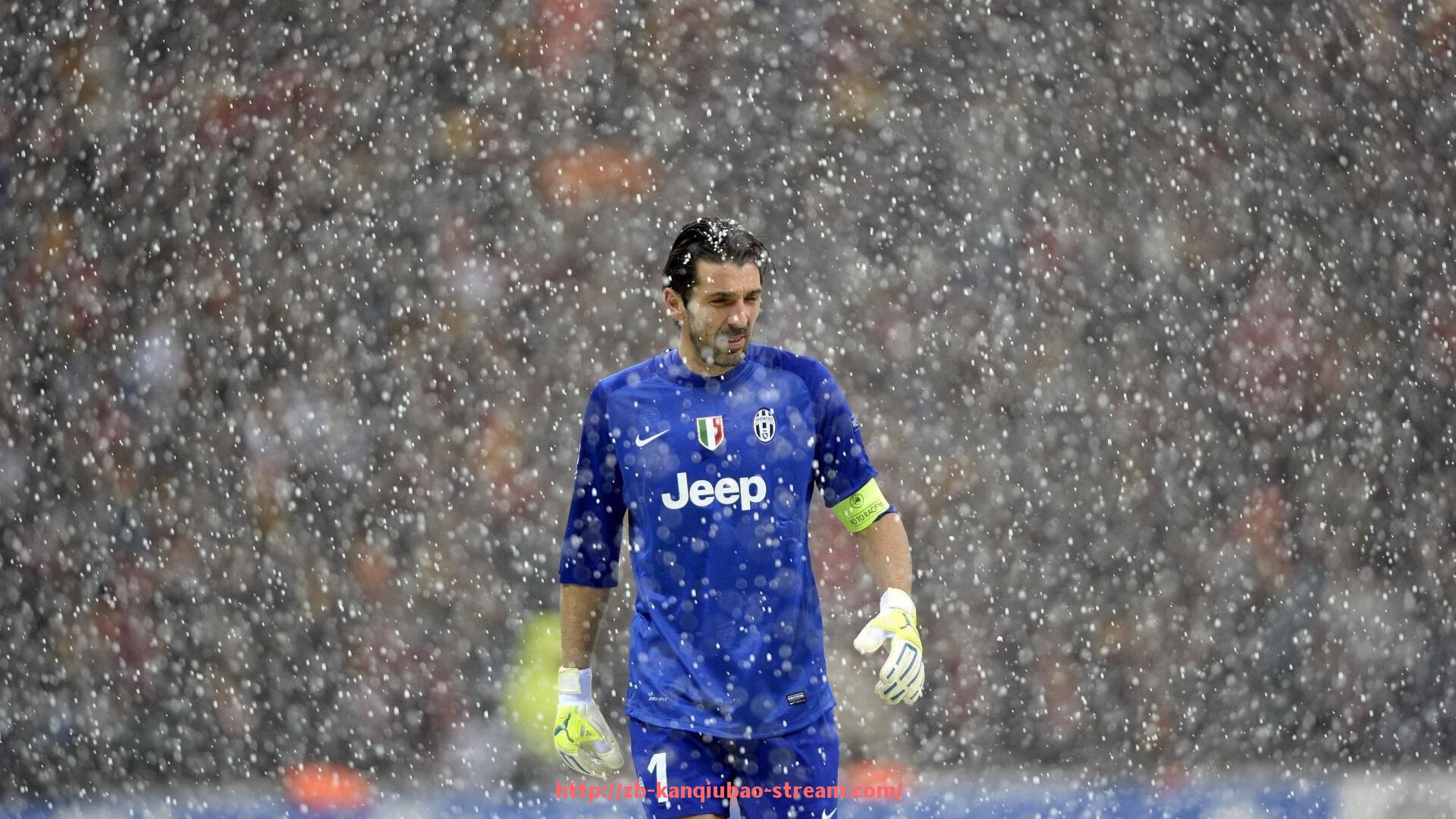 看球宝-腰部训练健身器材类型盘点，体育康复辅助工具分析