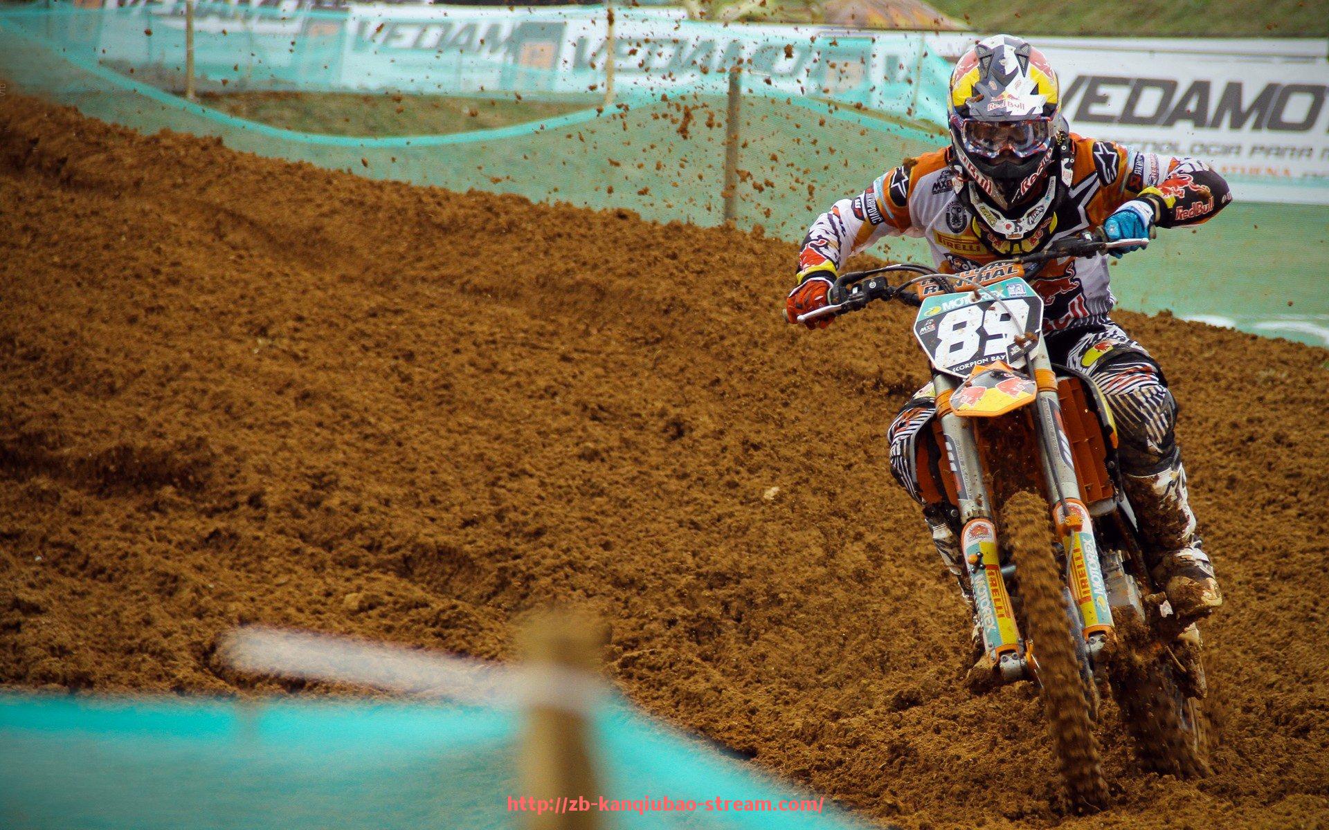 看球宝-法甲里昂主场观众结构与观赛行为分析